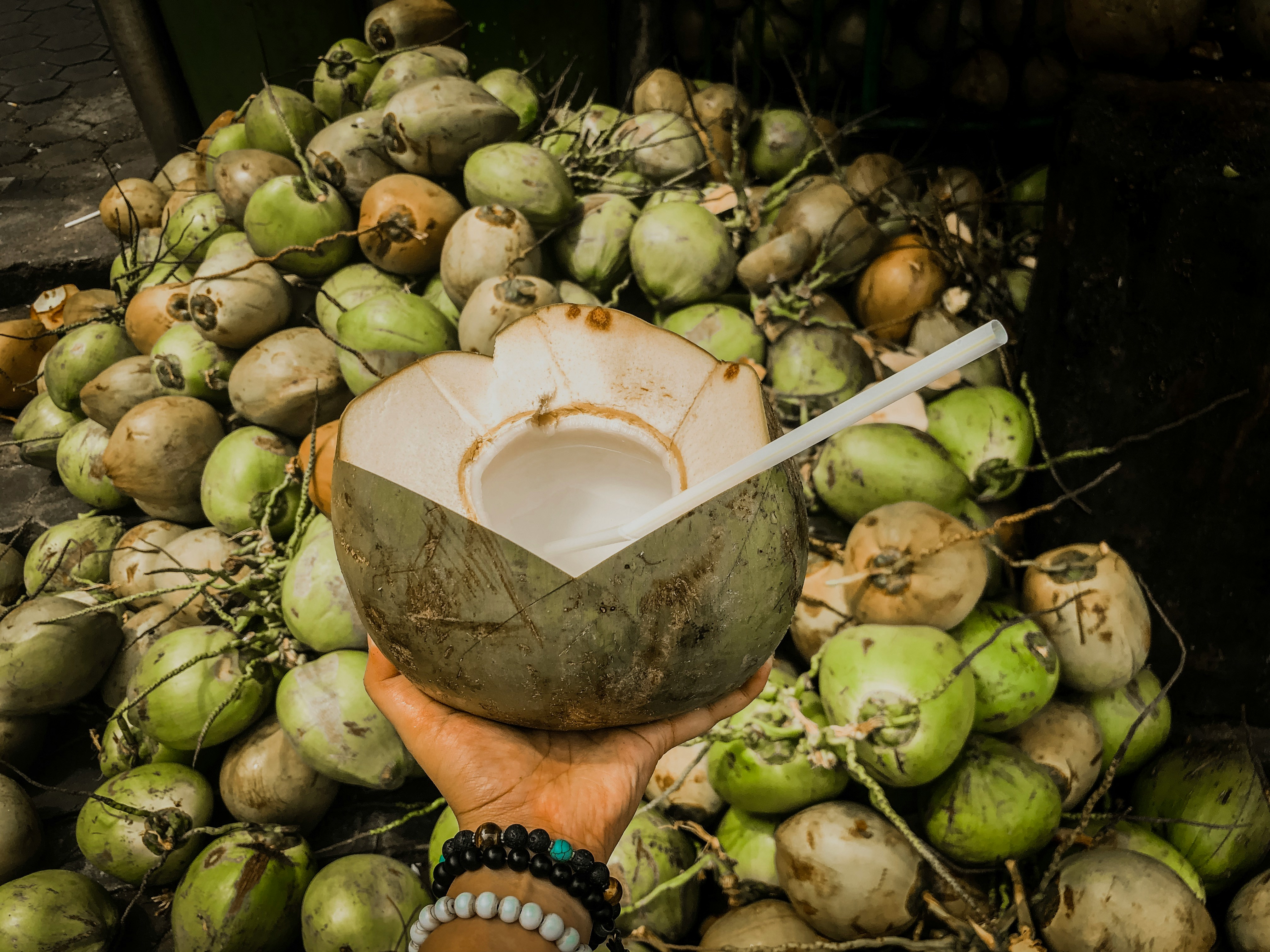 Coconut Trees